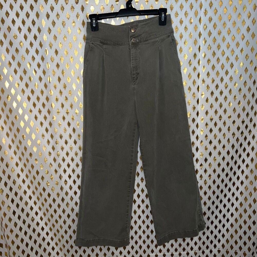 Urban outfitters BDG Wide leg pleated pants green jeans size 2